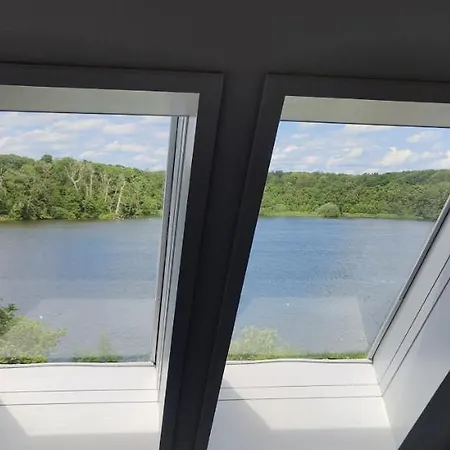 Views *